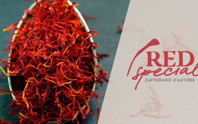 Packaging personalizzato: stampa scatole su misura – RED special
