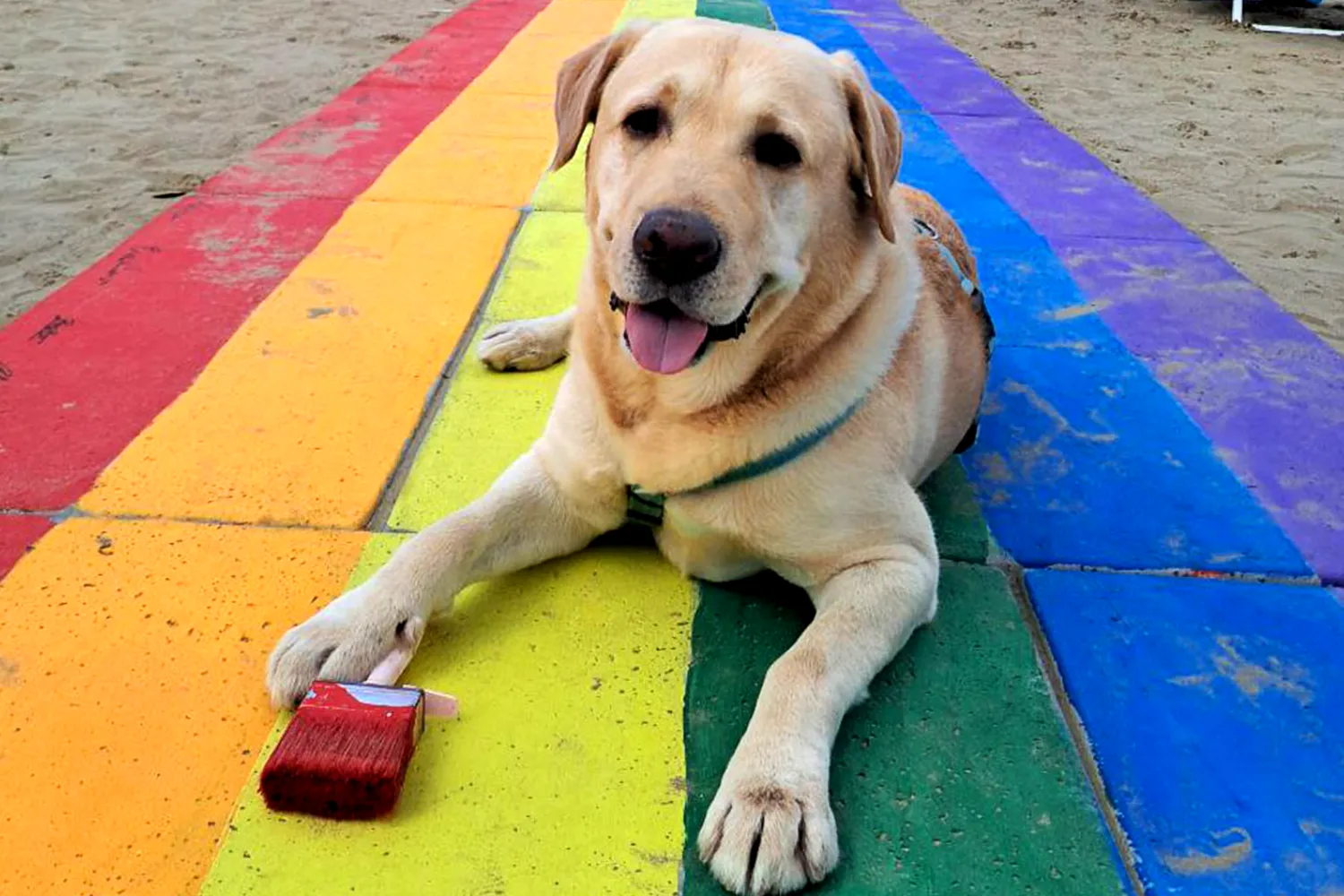 Video LA COMMUNITY 27 - Verniciatura passerella - RIMINI Video LA COMMUNITY 27 - Verniciatura passerella - RIMINI