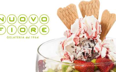 Realizzazione e restyling logo a Rimini, Riccione e Cattolica