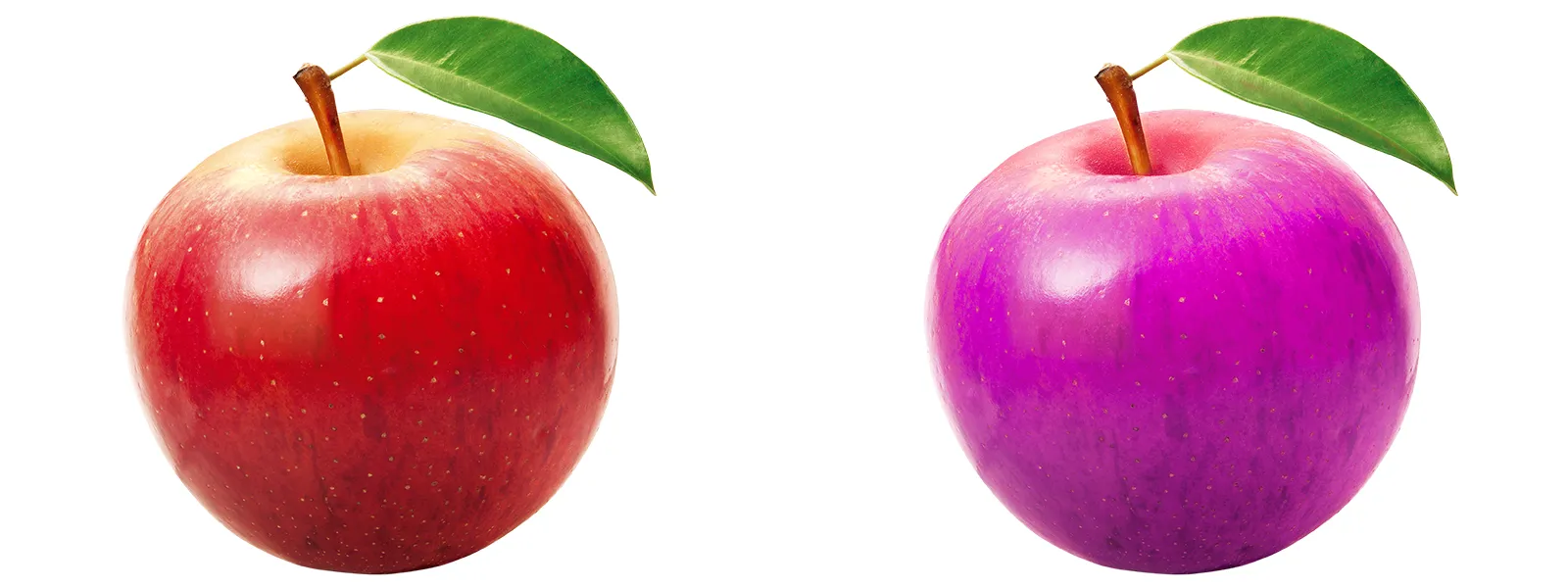 mela di colore differente mela di colore differente