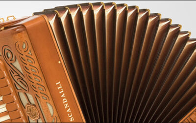 Design traforo fisarmonica INTENSE